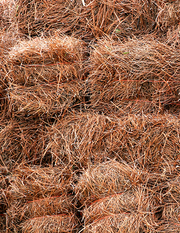 Ideal Supplies has Pine Straw Bales for landscaping needs for the Spring season. Come down to Ideal Supplies for mulch and rakes.