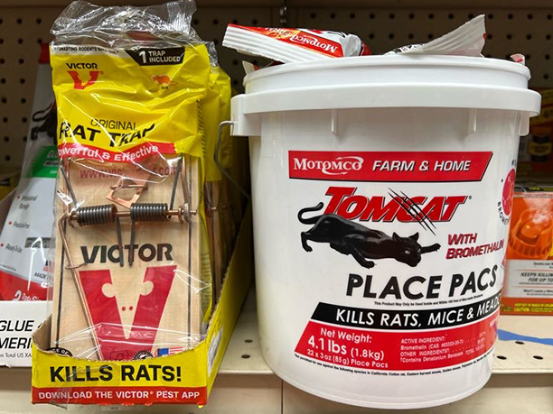 Ideal Supplies supplies rodent killing products: Ants, mouse traps, wasps, etc.