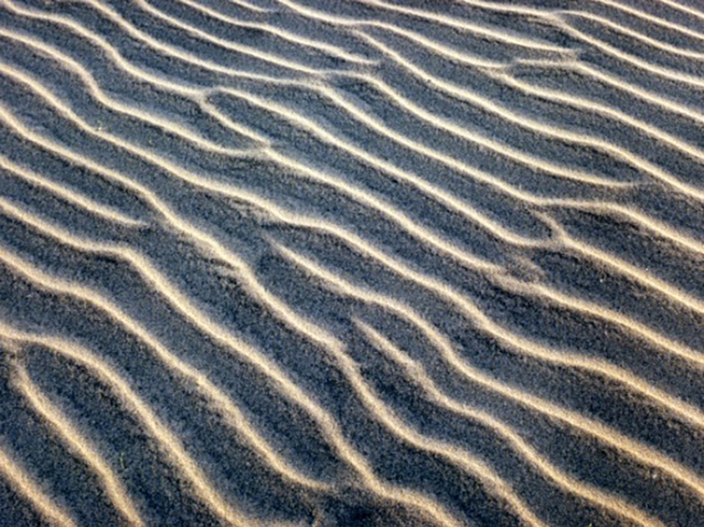 Beautiful sand blowing in the wind.